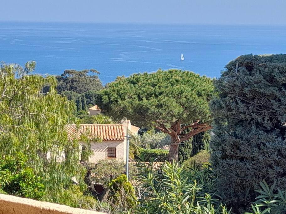 4-Star Private Villa With Heated Pool And Panoramic Sea View At Gulf De Saint Tropez Cavalaire-sur-Mer Esterno foto